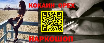 индика Гусев